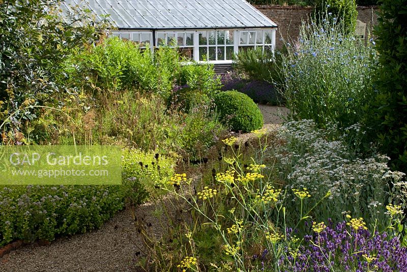 Herb Garden with fennel - Loseley Park, Surrey