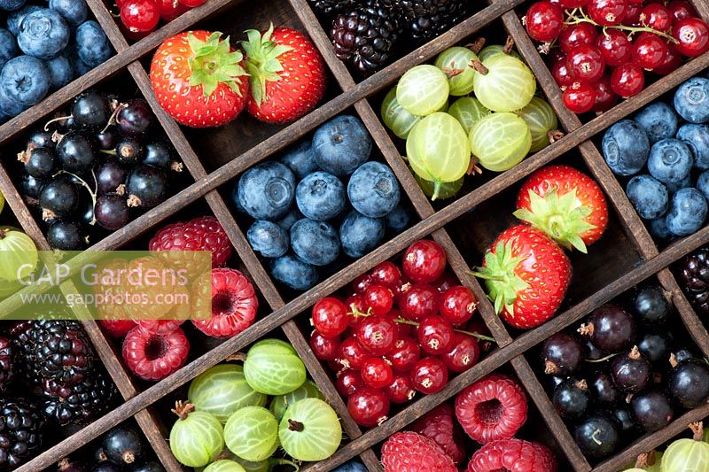 English summer berries in a wooden grid pattern 