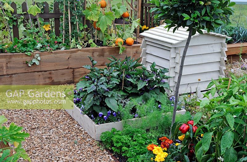 Timber framed vegetable boxes and bee hive in kitchen garden. RHS Tatton Park Flower Show 2010