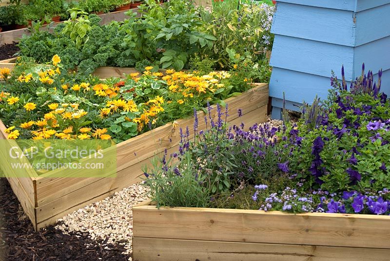 Raised triangular beds infilled with orange and purple flowers including Calendula, Tropaeolum - Nasturtium, Petunia, Lavandula, with central beehive. The  Busy Bees Nurseries 'Planting a Rainbow' garden - RHS Tatton Flower Show 2010 
