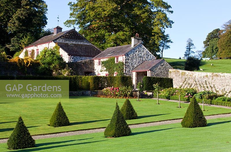 The Walled Garden with pyramids of Taxus baccata and view to the holiday cottages - Plas Cadnant, Menai Bridge, Anglesey, Wales    