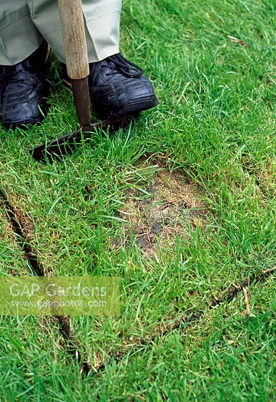 Use a spade or a half moon turf cutter to cut around the damaged or marked area of the lawn