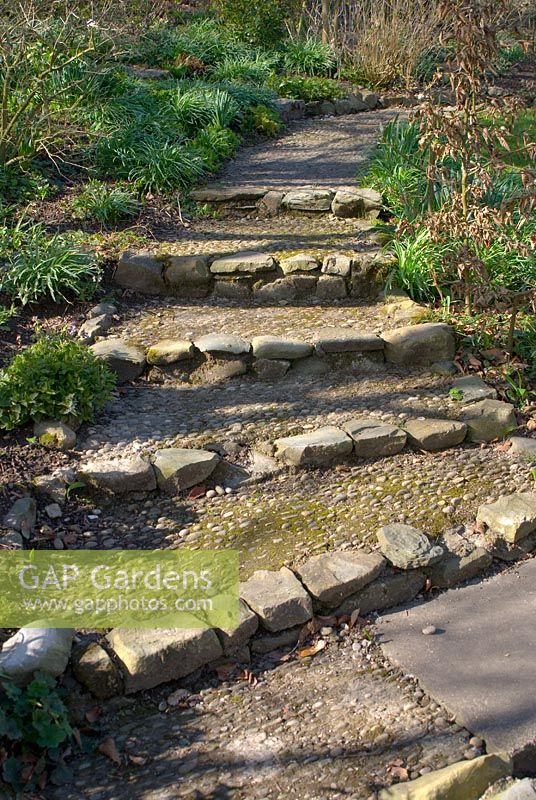 Steps, made from rocks and embedded pebbles, leading through copse in Spring at Summerdale House, Cumbria NGS