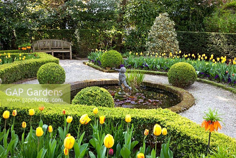 Formal garden with Tulipa 'Washington' and 'Juliette' growing in Buxus - Box parterre and circular pons with statue
 