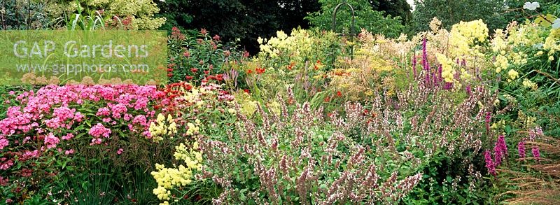 Late summer flowering perennials and grasses at The Coach House, Hampshire