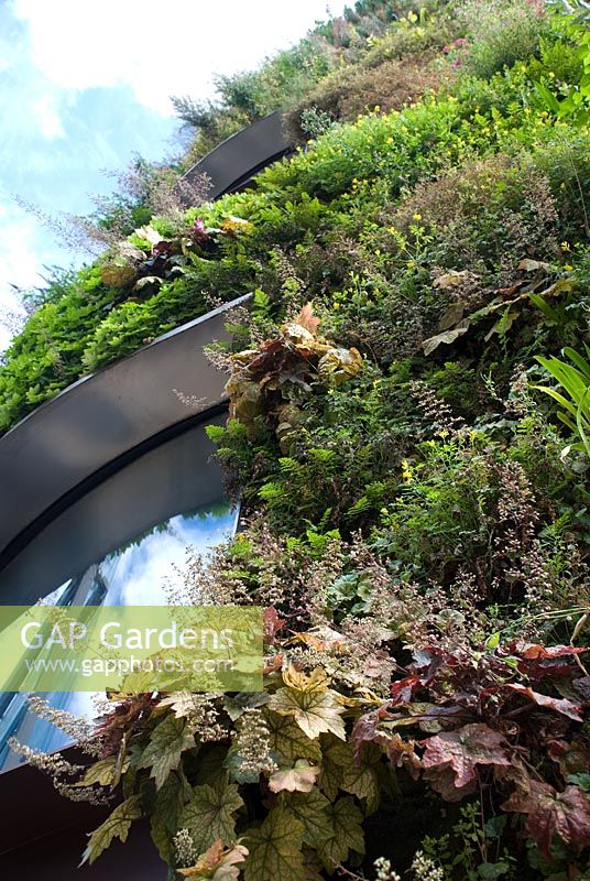 Vertical planting on building - Musee du quai Branly