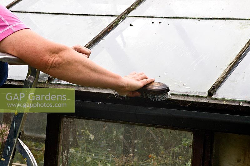 Cleaning greenhouse glass