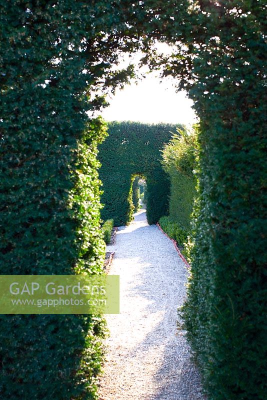 Path leading trough Yew archway and hedge Taxus baccata - Slottsträdgården, Sweden 