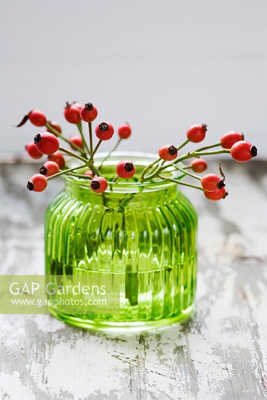 Rosehips in green glass vase