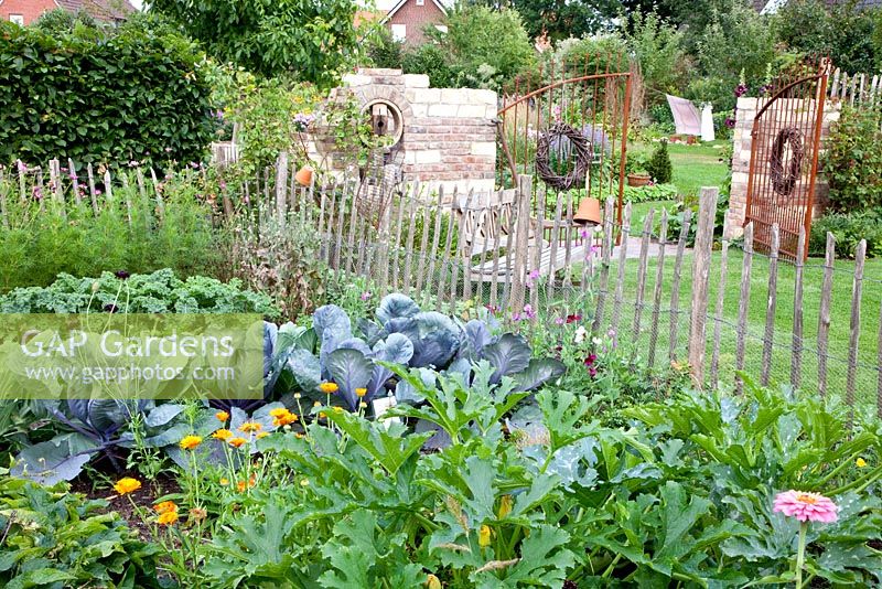 Vegetable plot with flowers, Cabbages and wooden fence
