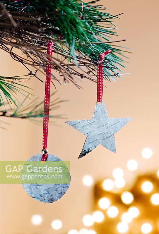 Making Christmas decorations from Silver Birch bark - 11. Finished decorations, a star and a bauble hanging in a tree