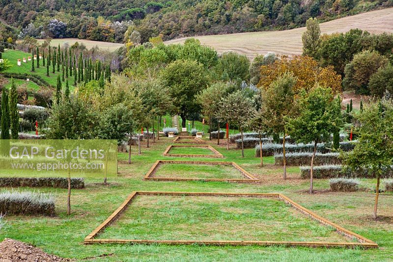 The Field. Il Bosco Della Ragnaia, San Giovanni D'Asso, Tuscany, Italy, October. 
 