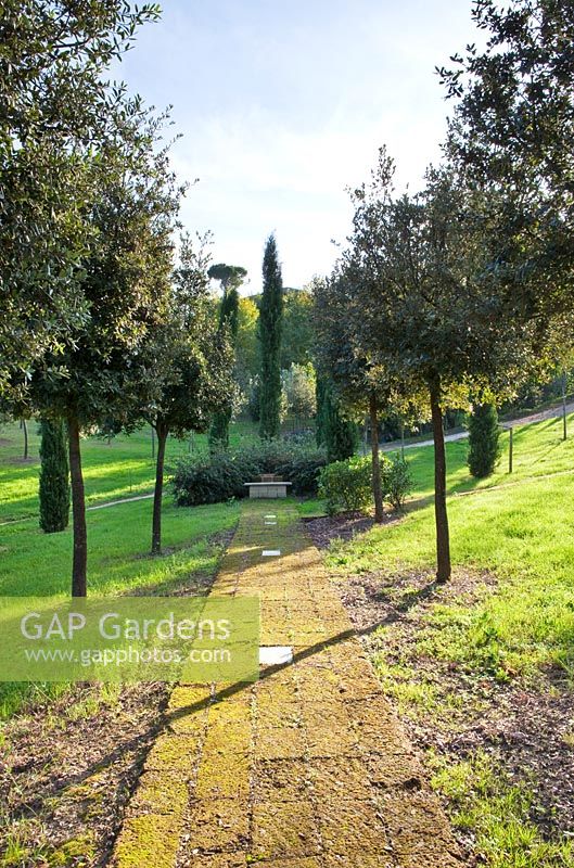 Path and avenue of trees. The Field. Il Bosco Della Ragnaia, San Giovanni D'Asso, Tuscany, Italy, October. 
 