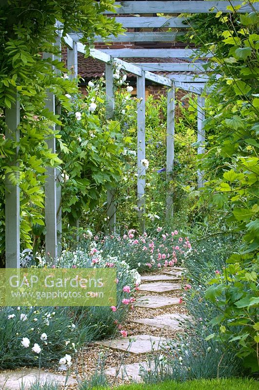 Stepping stone and gravel path under pergola, edged with Dianthus and with Clematis climbing  up it. Parsons Cottage