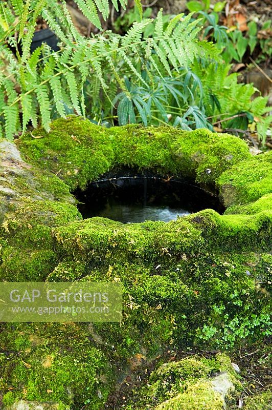 Water well covered in moss