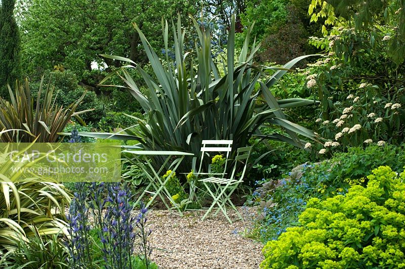 Cafe style table and chairs, planting of Phormium, Euphorbia, Camassia and Brunnera - The White House, Keyworth, Nottinghamshire
