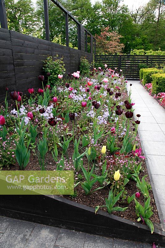 The black box - One of the spring show gardens at Schloss Ippenburg, Germany 
