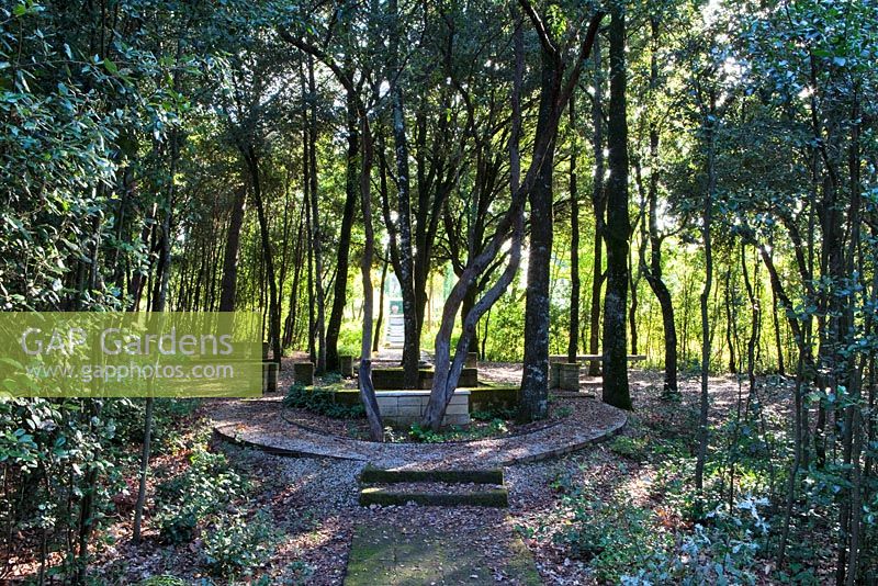 Il Bosco Della Ragnaia, San Giovanni, D'Asso, Nr Sienna, Tuscany, Italy