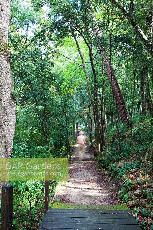 Il Bosco Della Ragnaia, San Giovanni, D'Asso, Nr Sienna, Tuscany, Italy