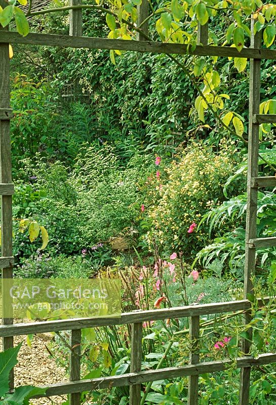 View through trellis fence to summer border - The Priory, Wiltshire