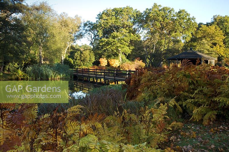 Wooden bridge crossing over a pond -The Casson Bridge, The Savill Garden, Windsor Great Park