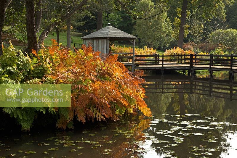 Wooden bridge crossing over a pond - The Casson Bridge, The Savill Garden, Windsor Great Park