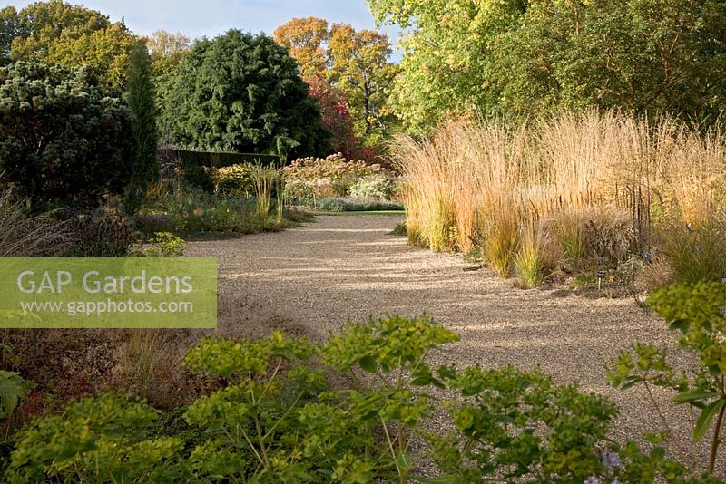 The Dry Garden with Molinia caerulea subsp. arundinacea and Euphorbia longifolia in the foreground - The Savill Garden, Windsor Great Park
