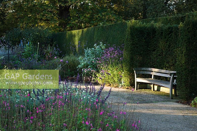 Decorative wooden bench set in The Golden Jubilee Garden, The Savill Garden, Windsor Great Park