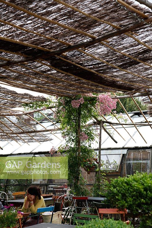 Cafe under bamboo canopy at Petersham Nurseries, Richmond, Surrey 