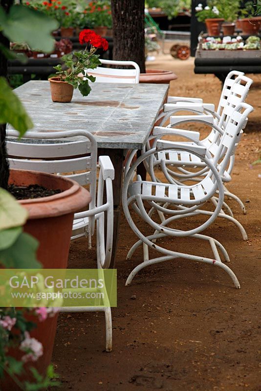 Cafe at Petersham Nurseries, Richmond, Surrey 