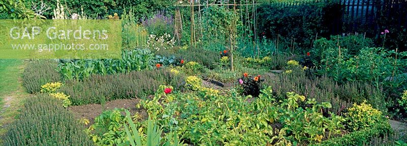 A vegetable and flower garden at Hill Close Gardens, Warwick