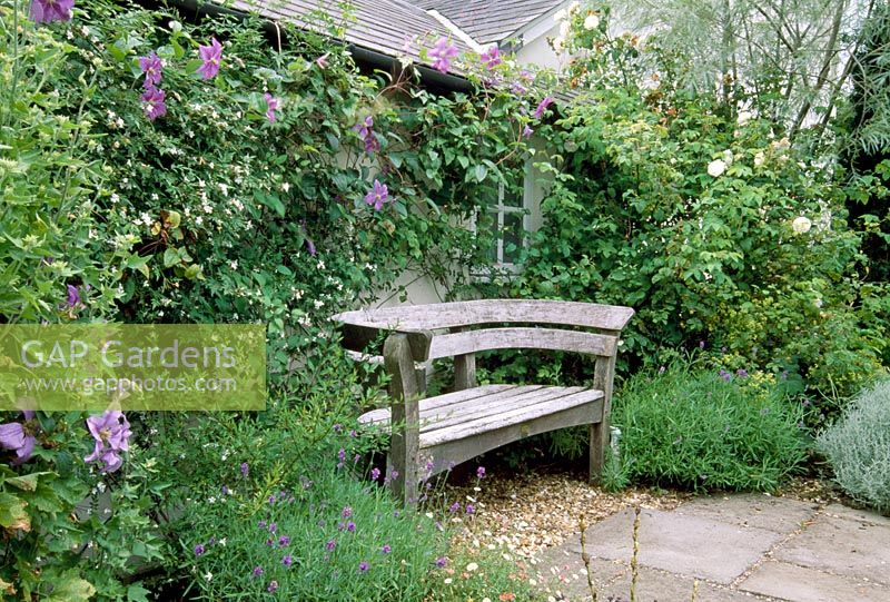 Wooden seat surrounded by scented plants and climbers - Jasminum, Clematis, Rosa, Lavandula. Fovant Hut Garden, Wilts