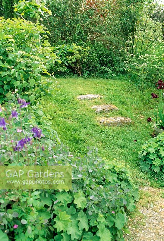 Rough stone steps in grass slope. Fovant Hut Garden, Wilts