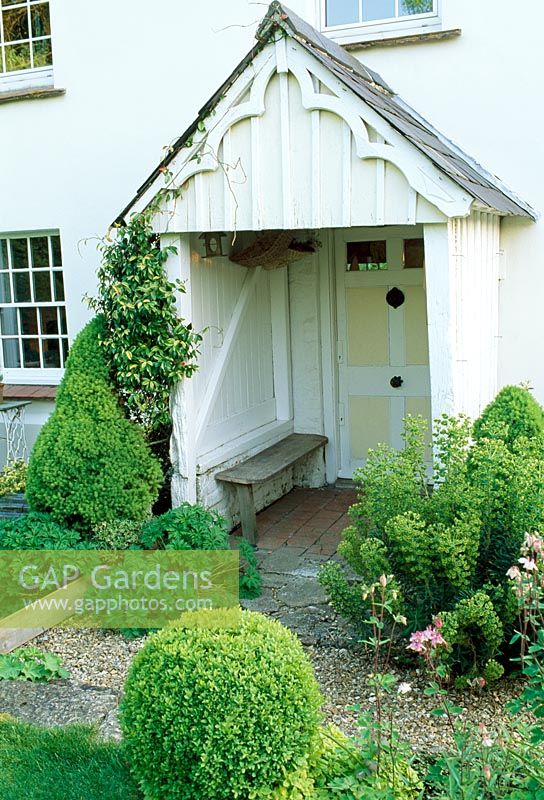 White timber porch surrounded by foliage planting of Euphorbia, Trachelospermum and Buxus balls. Fovant Hut Garden, Wilts