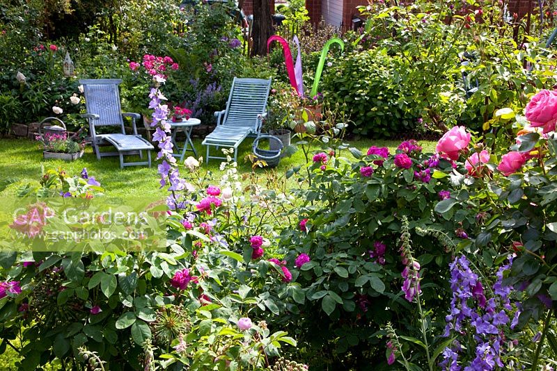 Summer garden with loungers on lawn