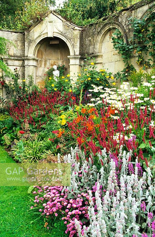 Herbaceous border of Cosmos 'Gazebo Mixed', Crocosmia 'Lucifer', Stachys byzytina, Rudbeckia, Gladioli, Heuchera, Persicaria - Dewstow Garden and Grottoes, Monmouthshire, Wales