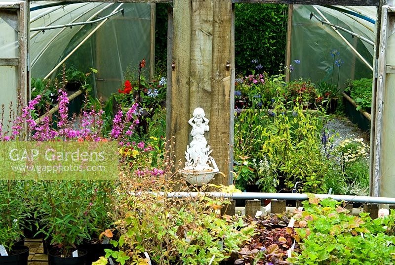 Plants in the nursery sales area are interspersed with sculptural figures, plaques and furniture - Pinsla Garden, Cardinham, Cornwall