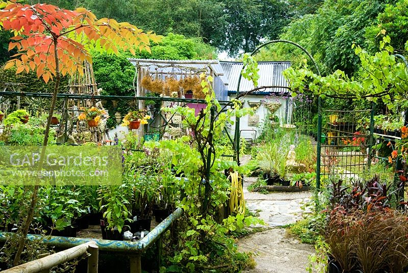 Plants in the nursery sales area are interspersed with sculptural figures, plaques and furniture - Pinsla Garden, Cardinham, Cornwall