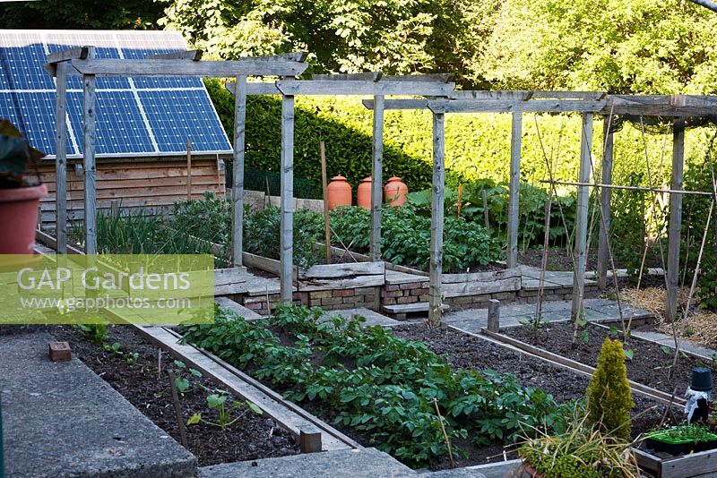 Vegetable and fruit garden with terraced, raised beds and solar panelled shed roof in background - Ham Cottage, Sussex