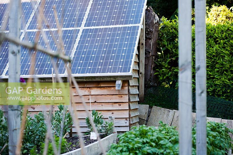Solar panelled roof of shed in vegetable garden - Ham Cottage, Sussex