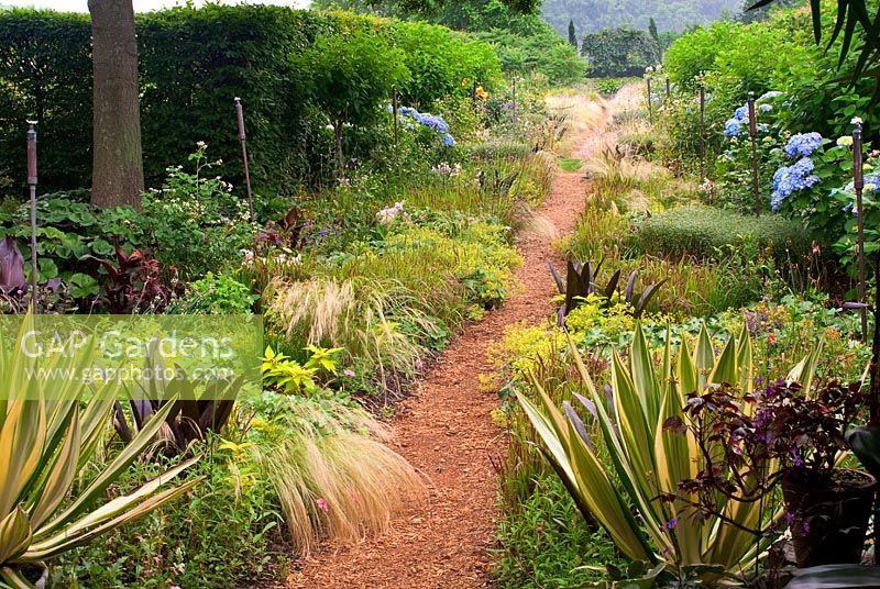 GAP Gardens - Path through borders of Stipa tenuissima ...