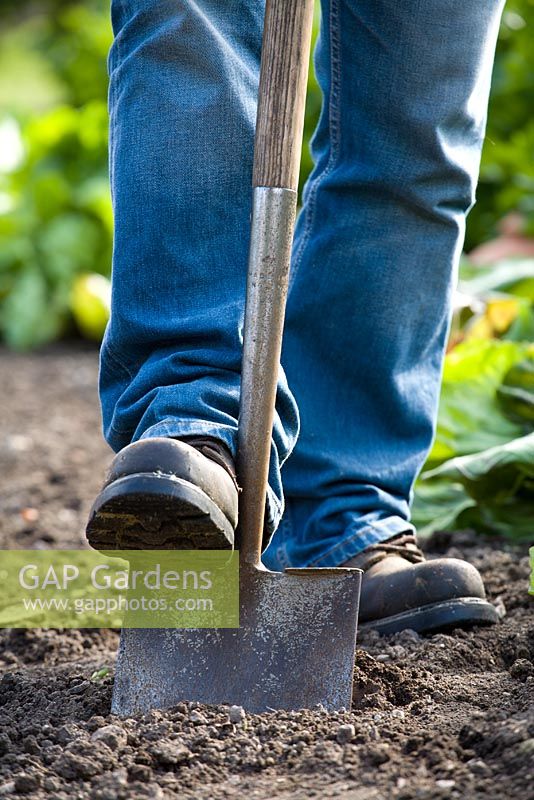 Digging with a spade