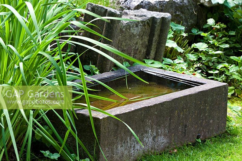 A small water trough and Fragaria vesca - The Manor House, Germany