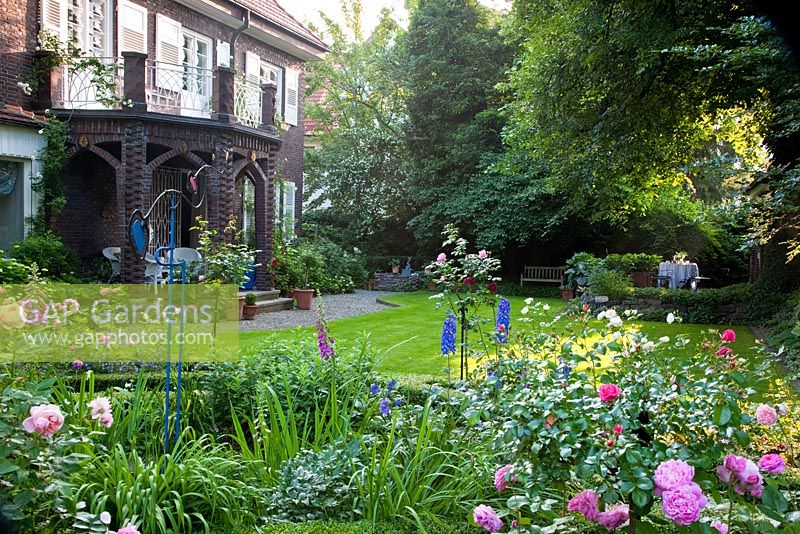 Box edged borders with roses and perennials, Rosa 'Gertrude Jekyll', Rosa 'Mary Rose', Campanula poscharskyana, Delphinium Elatum-Grp and Digitalis purpurea.  The Manor House, Germany