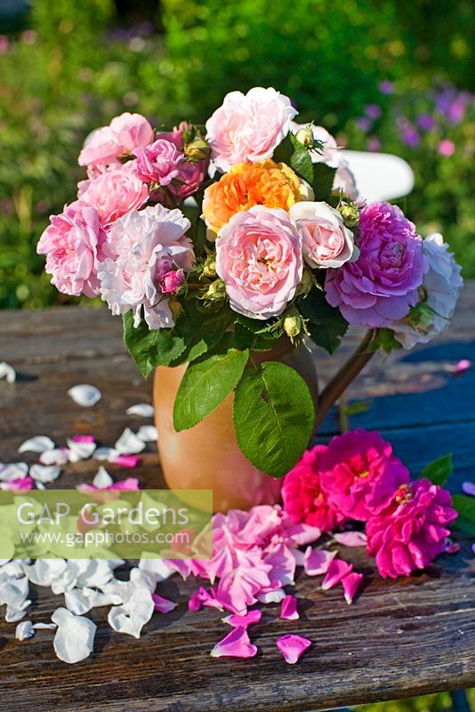 old fashioned roses in vase