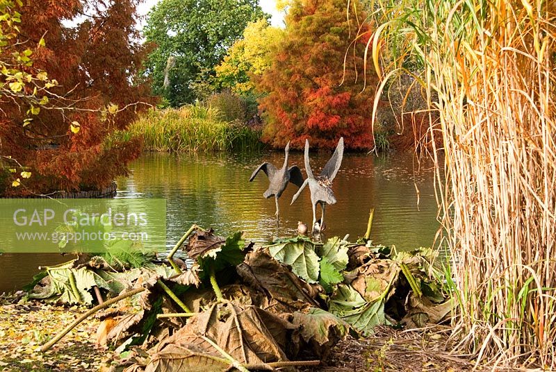 Bird sculptures on the pond in Seven Acres with Gunnera manicata in foreground and swamp cypresses - RHS Garden Wisley, Woking, Surrey, UK