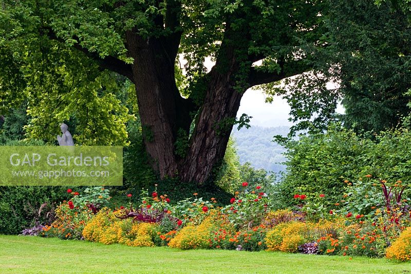 Colour-themed border at Weihenstephan Gardens, Antirrhinum majus 'Rocket F1 Samtrot', Pennisetum setaceum 'Rubrum', Pennisetum setaceum Kupfer', Tagetes patula 'Bonanza Bolero', Tagetes tenuifolia 'Gnom', Zinnia angustifolia 'Profusion Fire'and Zinnia elegans 'Scarlet Flame'