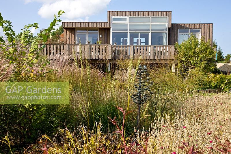 Wooden house overlooking natural planting of Lychnis coronaria