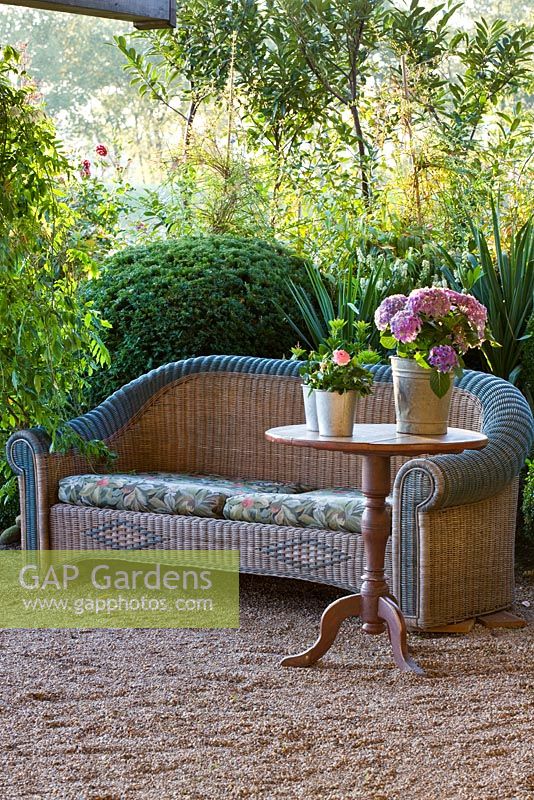 Wicker sofa and a table with plants in tin pots on a gravel area. In the background a border which contains Box sphere, Hydrangea macrophylla, Olea europaea, Taxus baccata, Wisteria and Yucca