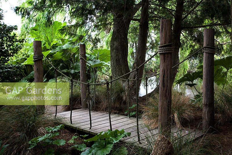 Wooden footbridge with Gunnera manicata and stems of Cupressocyparis leylandii